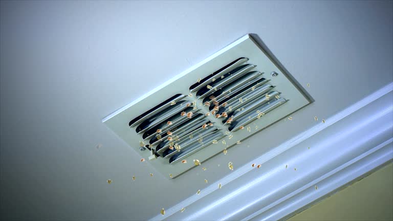 Best Duct Cleaning for Homes  in Dyersville, IA