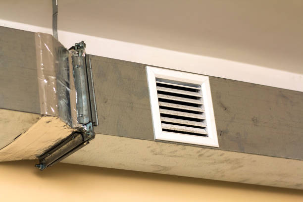 Best Home Air Vent Cleaning  in Dyersville, IA